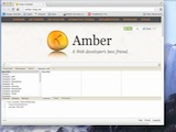 Introducing Amber