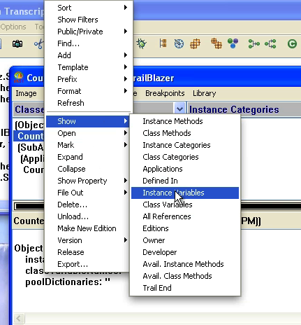 Show Instance Variables